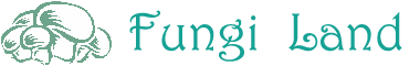 FUNGI LAND